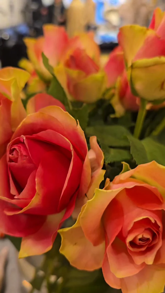 Hallo Frühling 🌷🤍